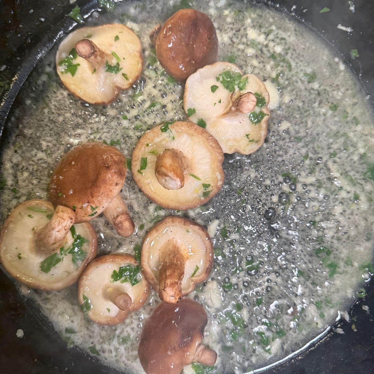 cannellini beans and chicken