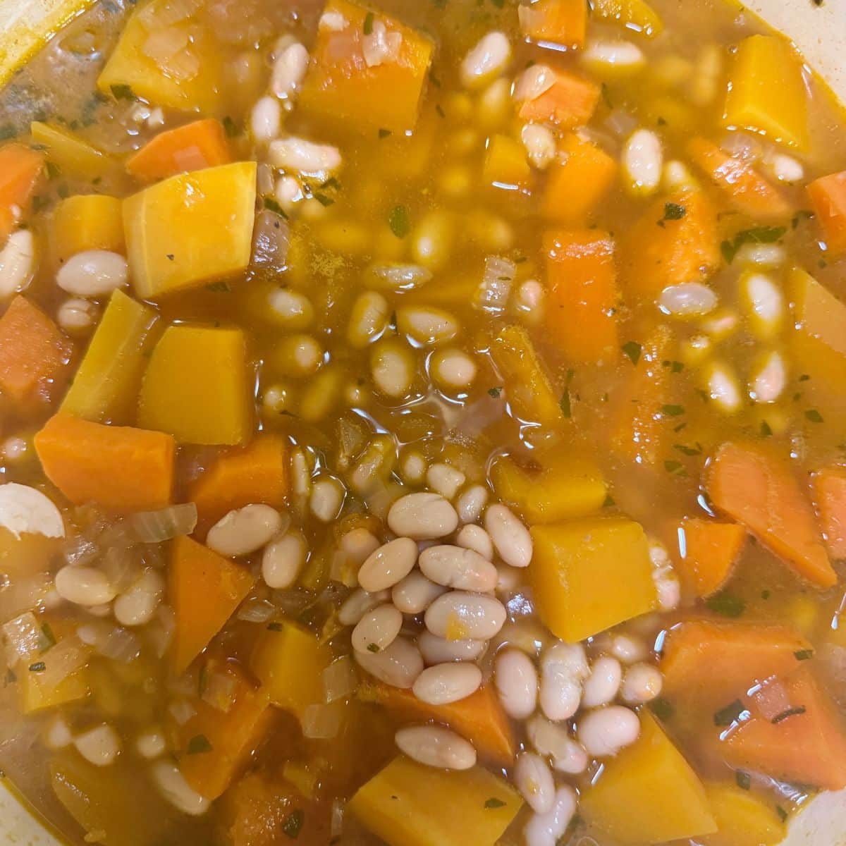 butternut squash and cannellini bean soup